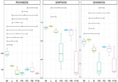 Microbiota Variation Across Life Stages of European Field-Caught Anopheles atroparvus and During Laboratory Colonization: New Insights for Malaria Research